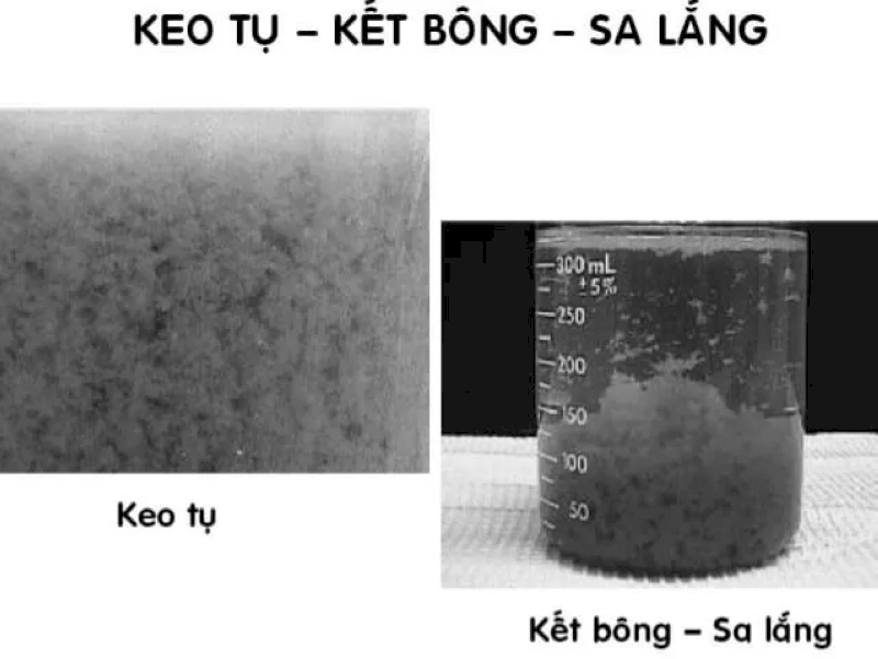 loai-bo-asen-trong-nuoc