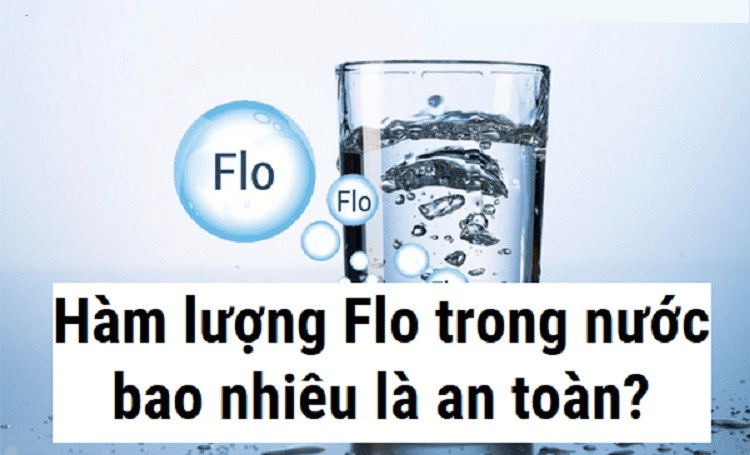 flo-trong-nuoc-uong-tot-hay-xau-4