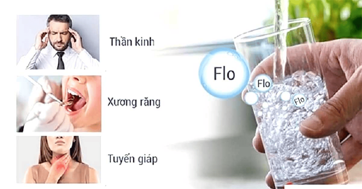 flo-trong-nuoc-uong-tot-hay-xau-2
